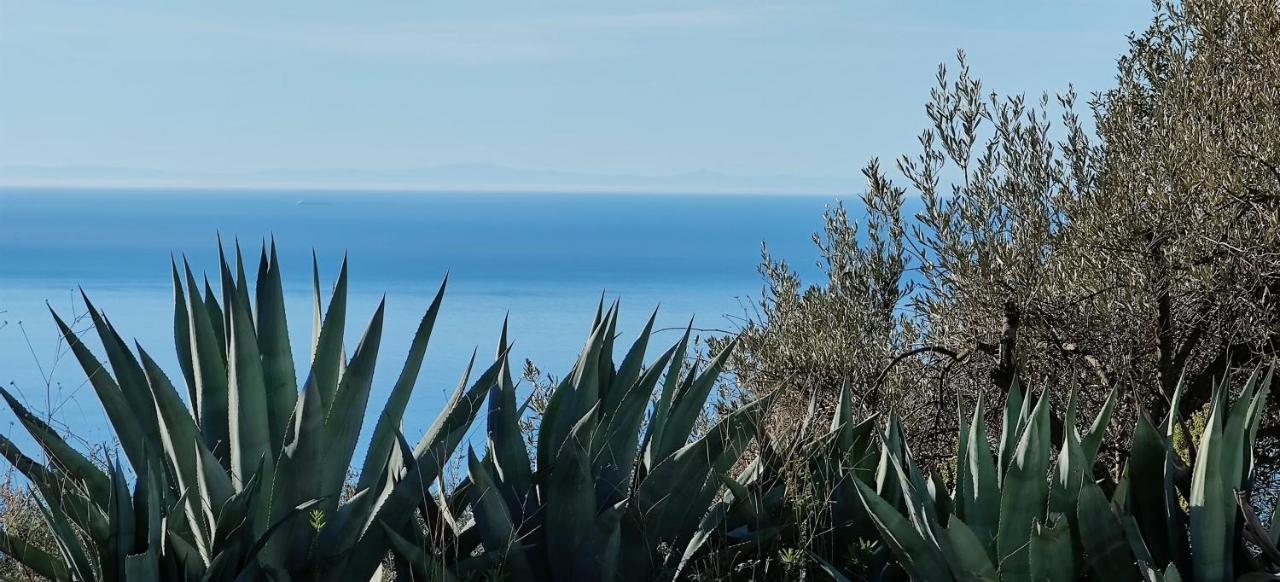 Campo Agave Luxury Tents Sayalonga Exteriér fotografie