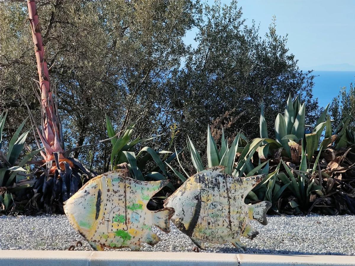 Campo Agave Luxury Tents Sayalonga Exteriér fotografie