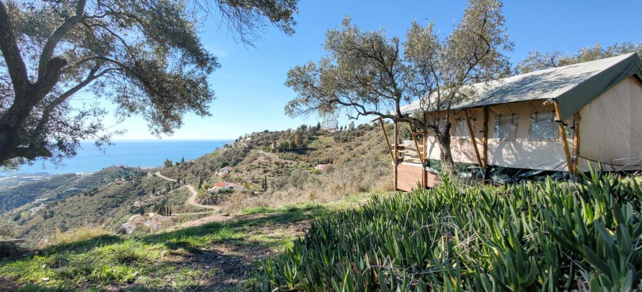 Campo Agave Luxury Tents Sayalonga Exteriér fotografie