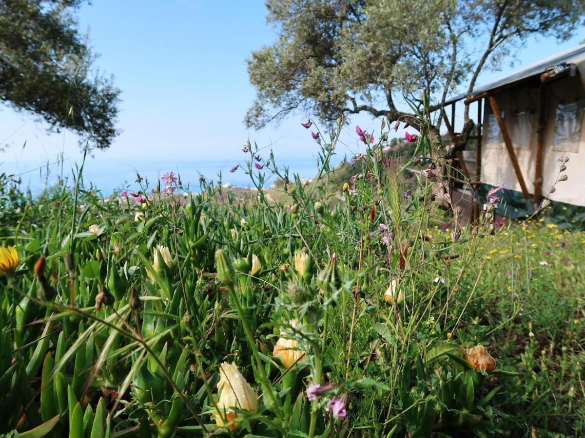 Campo Agave Luxury Tents Sayalonga Exteriér fotografie