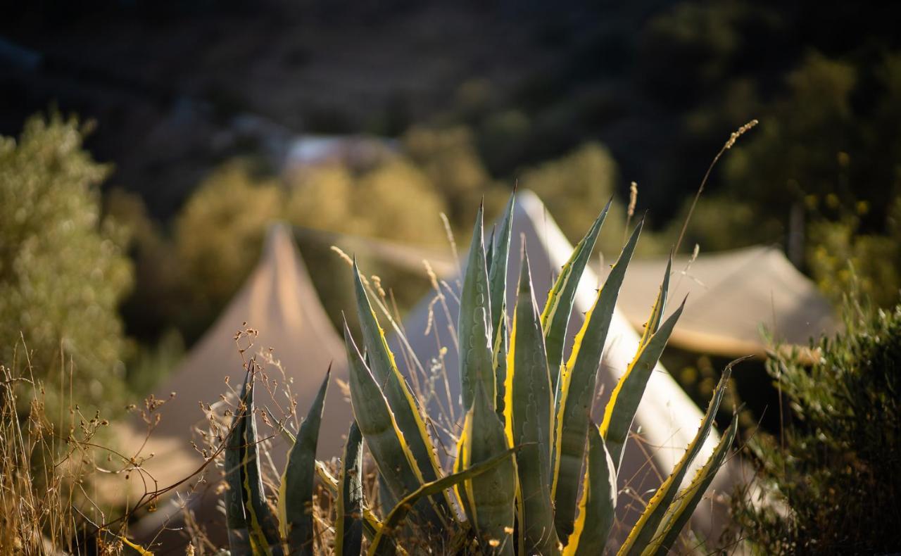 Campo Agave Luxury Tents Sayalonga Exteriér fotografie