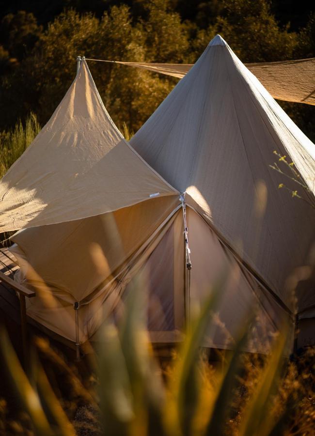 Campo Agave Luxury Tents Sayalonga Exteriér fotografie
