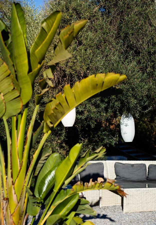 Campo Agave Luxury Tents Sayalonga Exteriér fotografie