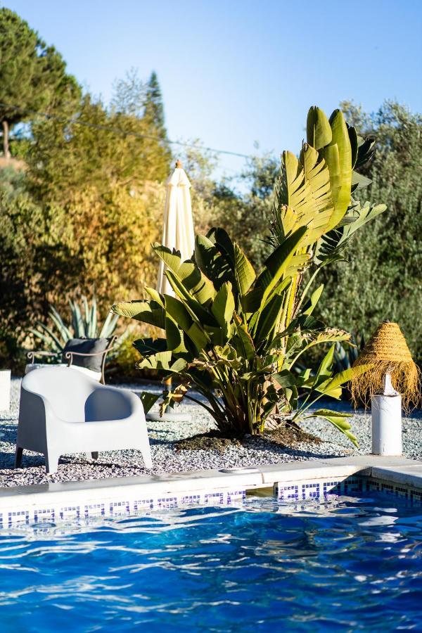 Campo Agave Luxury Tents Sayalonga Exteriér fotografie