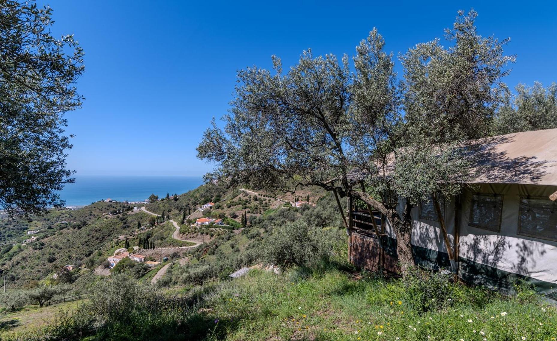 Campo Agave Luxury Tents Sayalonga Exteriér fotografie